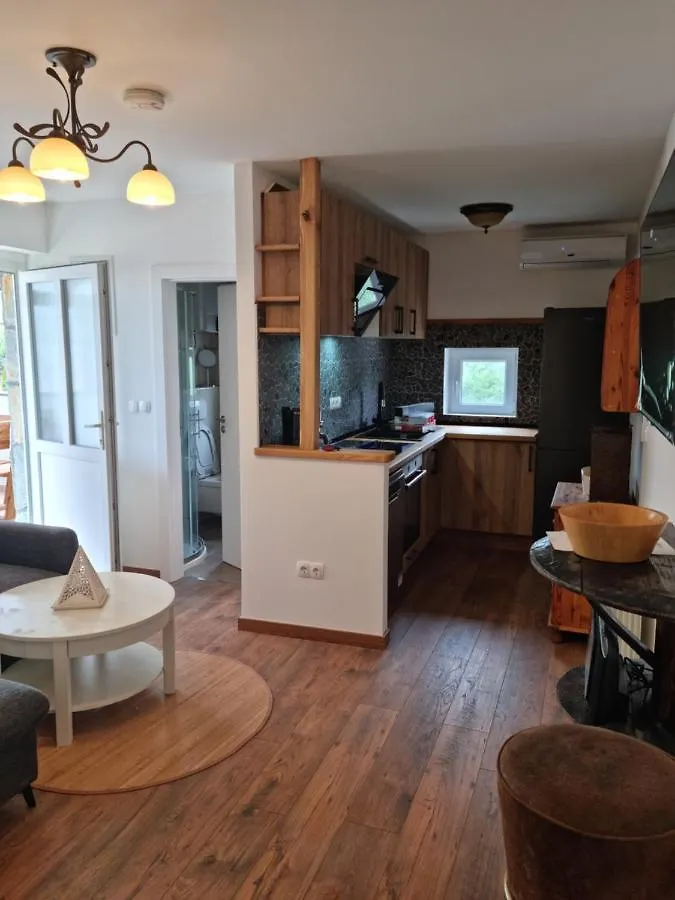 Villa Rossi Brzac Apartment