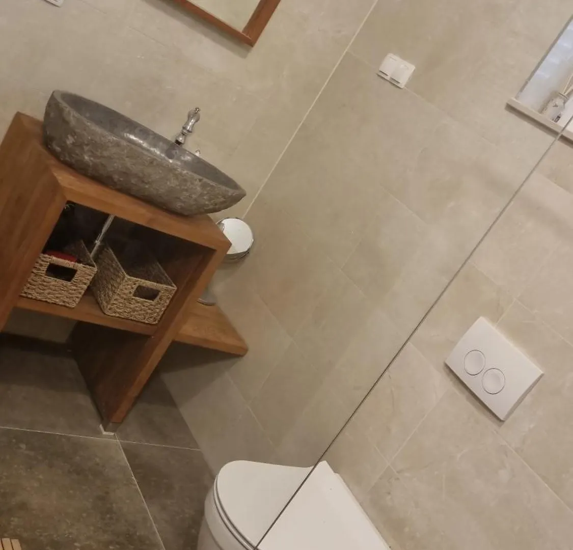 Villa Rossi Brzac Apartment